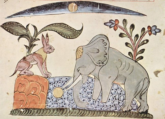 Muizen en Olifanten